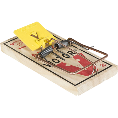 Woodstream Victor Easy Set Rat Trap M205 – Froggy Bottom Outdoors