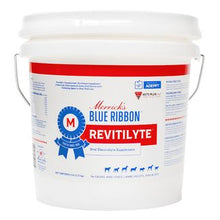 Blue Ribbon Revitilyte Electrolyte Supplement Item 12401