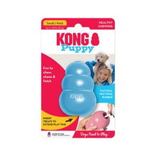 Fun to chase, catch and chew. Features an unpredictable bounce for games of fetch. Long-lasting fun and entertainment - insert treats to extend play time. Promotes healthy teeth and gums.