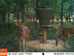 Banks Outdoors Feed Bank 600 Gravity-Fed Deer Feeder