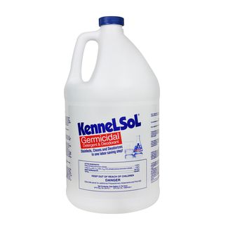 Broad-spectrum germicidal cleaner, deodorizer and disinfectant formulated for animal care facilities. Concentrated formula knocks out pathogens in one easy step. Effective against viruses (including canine parvovirus), bacteria and fungi. Non-corrosive and non-staining to surfaces and clothing if spilled. Wintergreen fragrance leaves behind a fresh and clean scent.