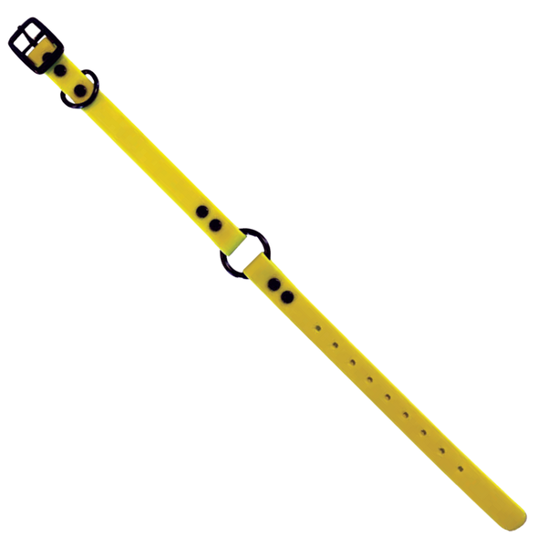 3/4" Beta Ring-N-Center & D-N-Front  257