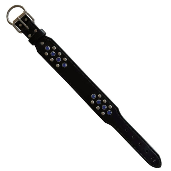 Black leather strap with blue and silver studs on a white background