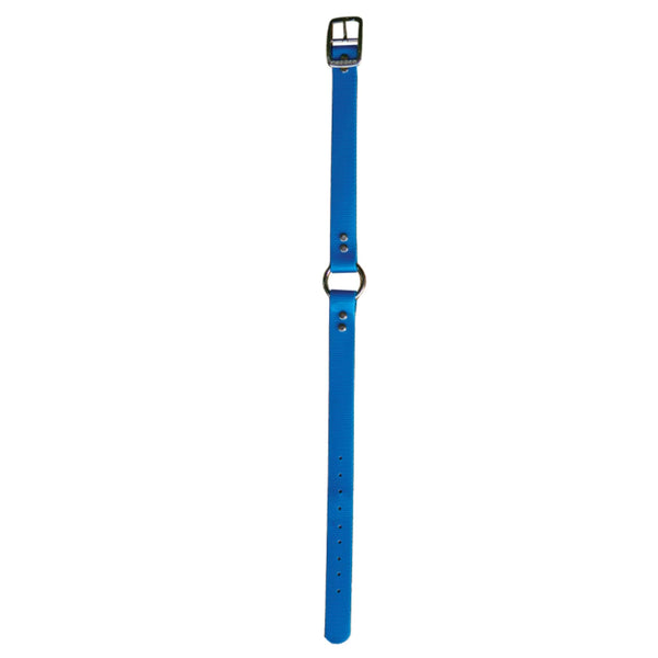 blue Dayglo Collar Ring-N-Center NON-REFLECTIVE