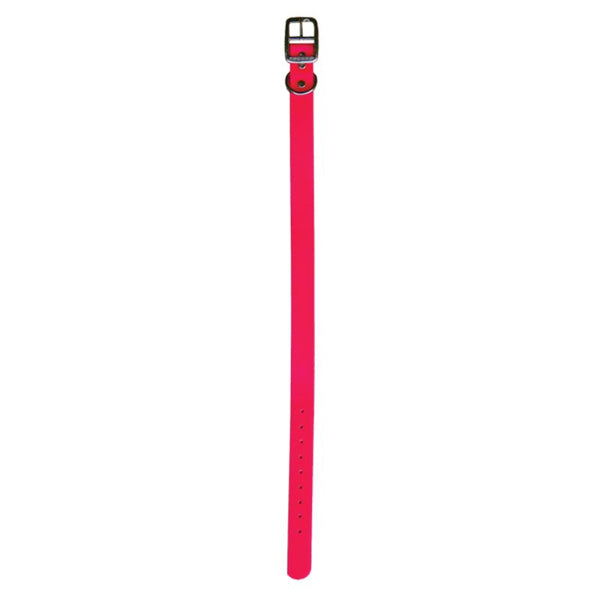Red Dayglo collar D-N-Front Non-reflective