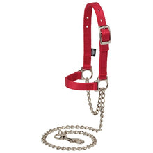 Weaver Nylon Adjustable Sheep Halter