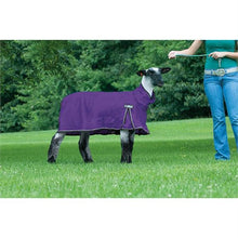 Weaver ProCool Sheep Blanket with Reflective Piping, Mesh Butt