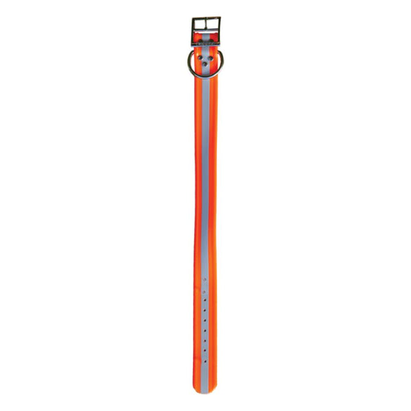 orange 1.5in dayglo reflective collar d-n-front