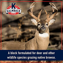 Kalmbach Feeds Apple Flavored Deer Block, 20 lb Y1117AP