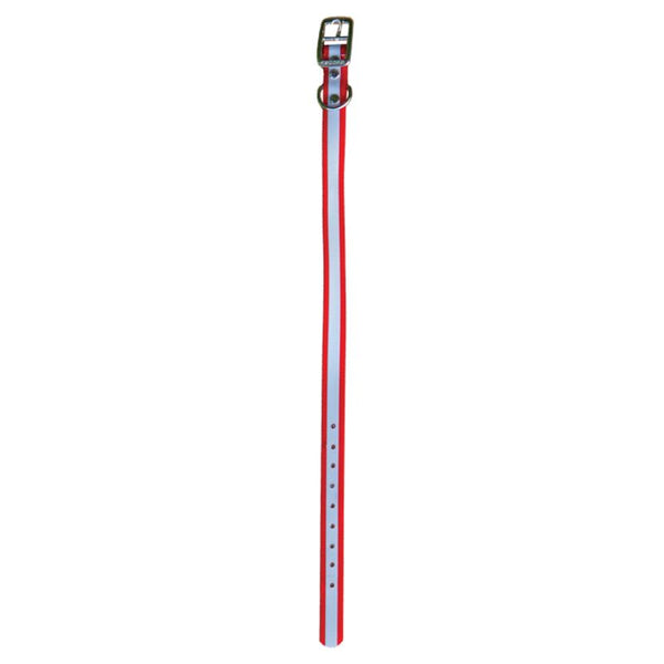red dayglo reflective D-N-Front