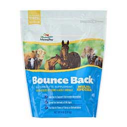 Bounce Back Multi-Species Electrolyte Supplement  11536