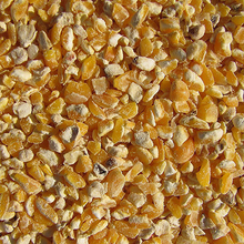 Naturalist Cracked Corn Medium 6CORNMC