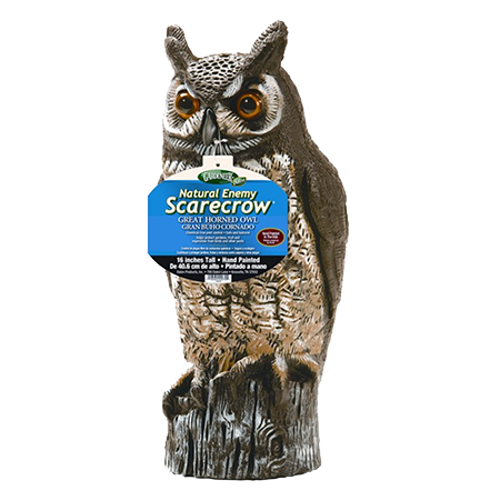 Life-like, Great Horned Owl helps repel birds and pests while adding charm