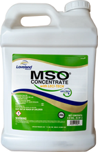 RWWP Surfactant 2.5 gal