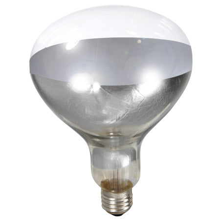 MILLER BROODER LAMP BULB - CLEAR
