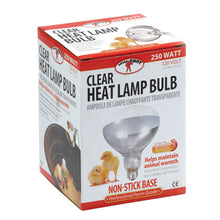 MILLER BROODER LAMP BULB - CLEAR