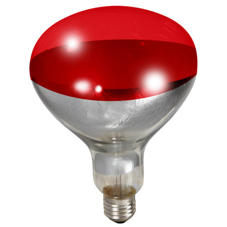 MILLER BROODER LAMP BULB - RED