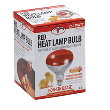 MILLER BROODER LAMP BULB - RED