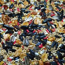  Premium nutrition to attract the most variety of songbirds