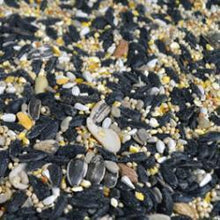 For the discriminating bird enthusiast,  Attracts an extremely wide range of birds including cardinals, chickadees, finches, tufted titmouse, nuthatches and woodpeckers