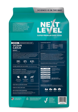 Next Level OCEAN CATCH Adult