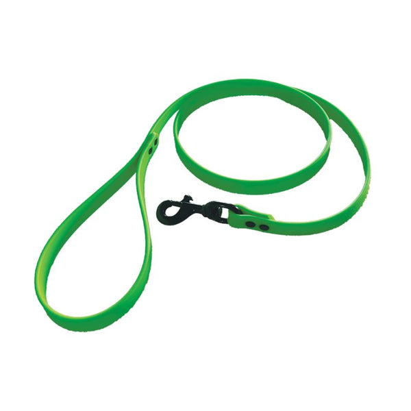 Green dog leash with a black clip on a white background