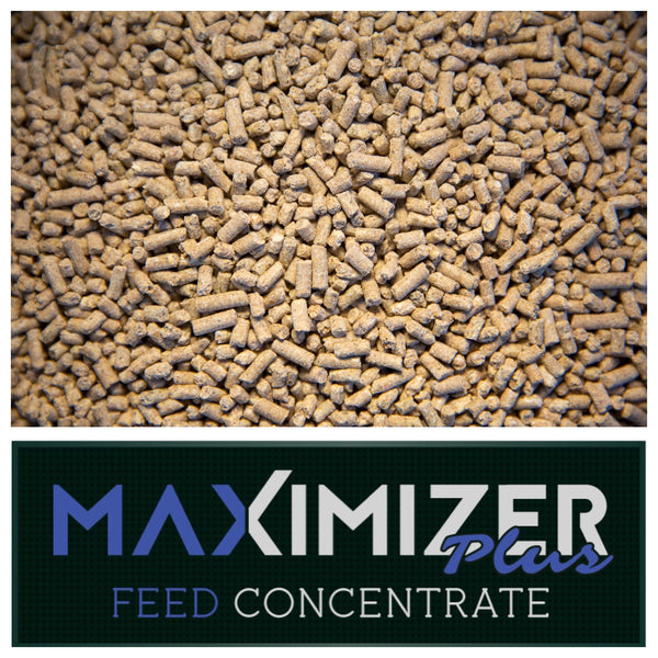 RWWP MAXIMIZER PLUS FEED CONCENTRATE