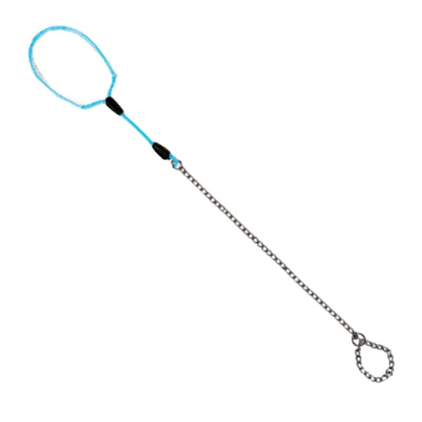 Dog leash with blue handle and metal chain 