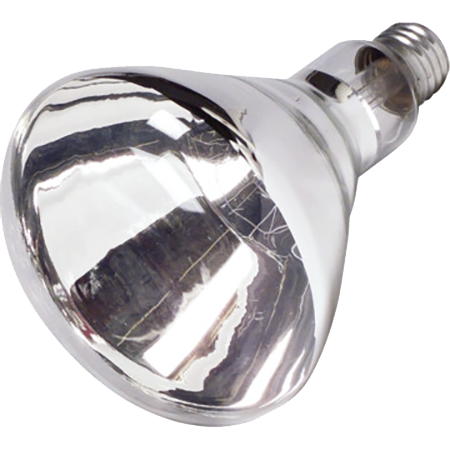 SATCO Heat Lamp Bulb