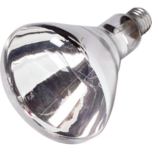 SATCO Heat Lamp Bulb
