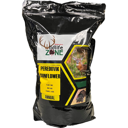 Peredovik sunflowers are an annual type of seed producing sunflower that can grow to 3-5 ft tall on pretty sturdy stalks
