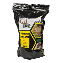 Peredovik sunflowers are an annual type of seed producing sunflower that can grow to 3-5 ft tall on pretty sturdy stalks