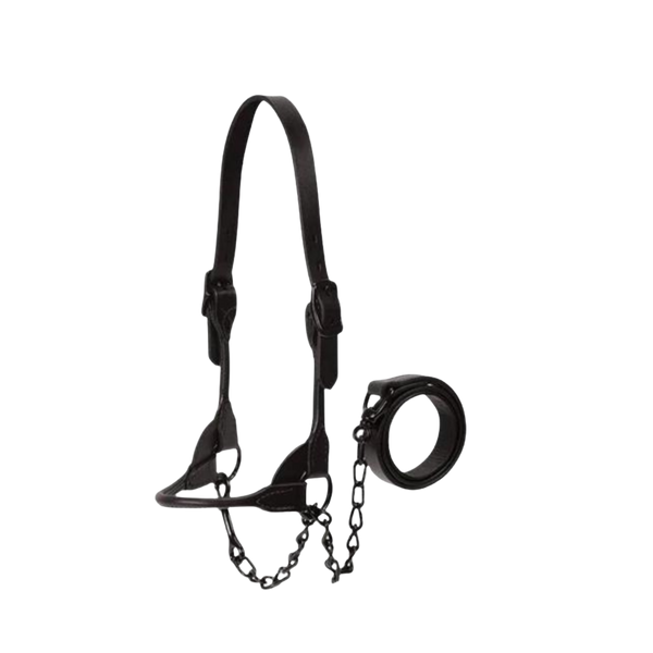 Weaver Black Magic Show Halter