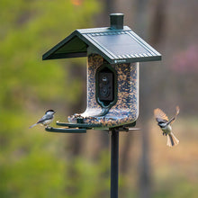 Bird feeder with a camera on a blurred natural background