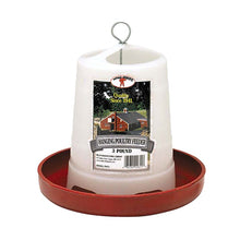 Miller plastic hanging poultry feeder with a red base on a white background