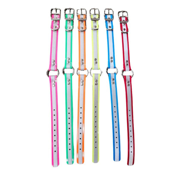 reflective dayglo ring-n-center & d-n-front collars in multiple colors