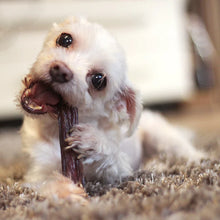 12 inch stick treat for dogs of all sizes