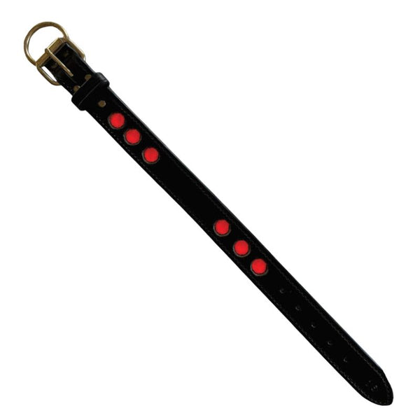 Black collar with red studs on a white background