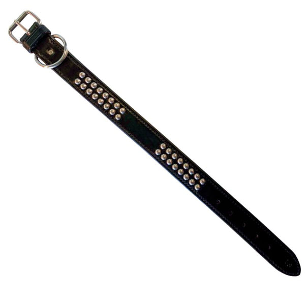 Black leather belt with silver studs on a white background