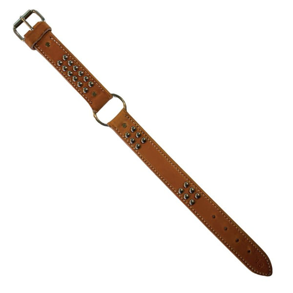 Brown leather collar with studs on a white background