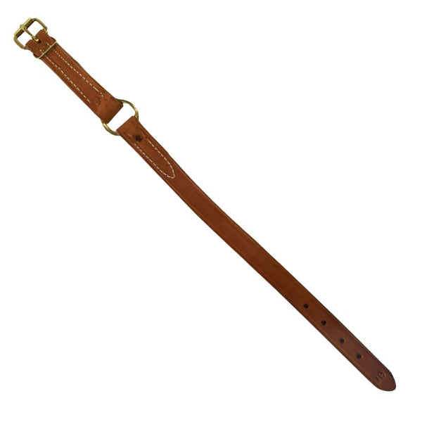 Brown leather collar with a gold buckle on a white background