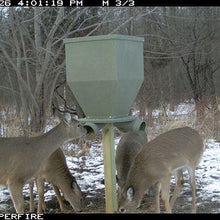 Banks Outdoors Feed Bank 300 Gravity-Fed Deer Feeder